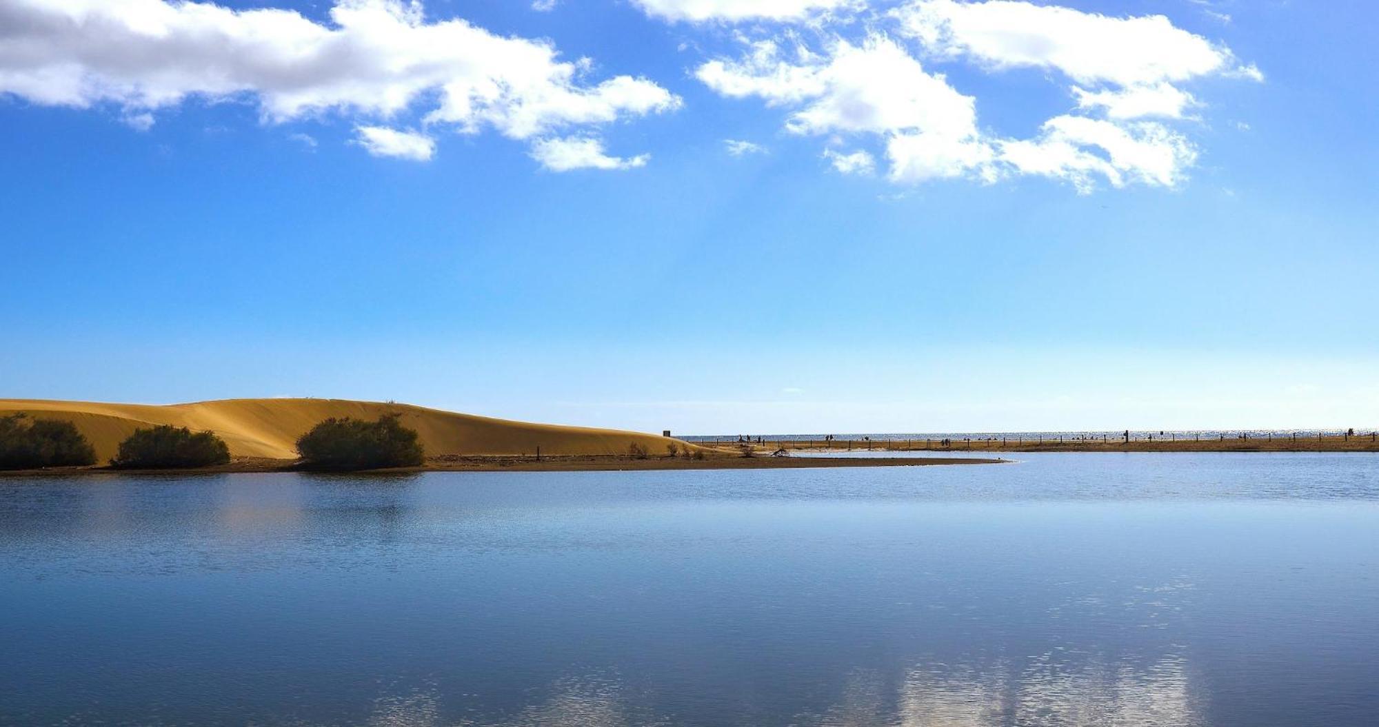 Dunaoasis Maspalomas Маспаломас Екстериор снимка